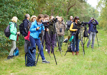 Mädlow Ornithologie 17
